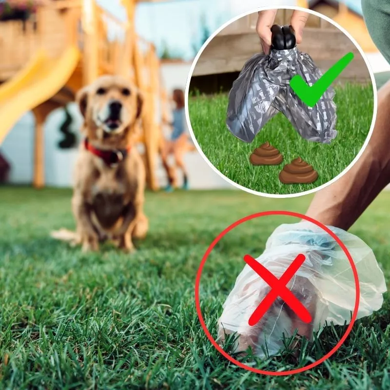 Easy-clean portable dog pooper scooper with a clip-on system for hands-free carrying, compact design, and eco-friendly bags.